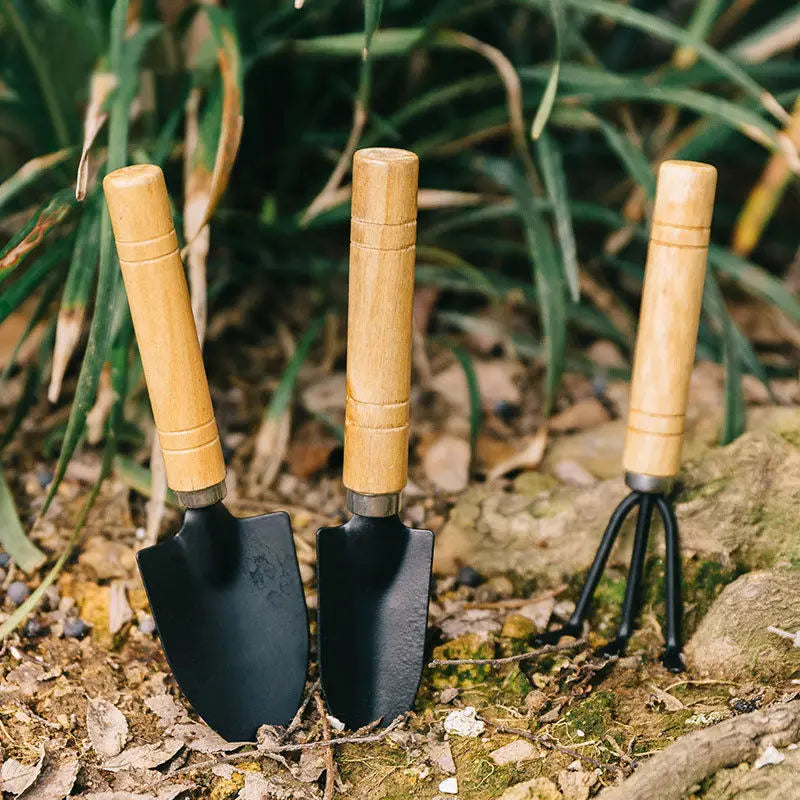 Gardening Tools Three-Piece Set Mini Garden Tools Multi-Function Shovel Harrow Shovel Household Plant Pine Soil Shovel